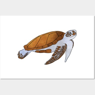Sea Turtle Watercolor Illustration Posters and Art